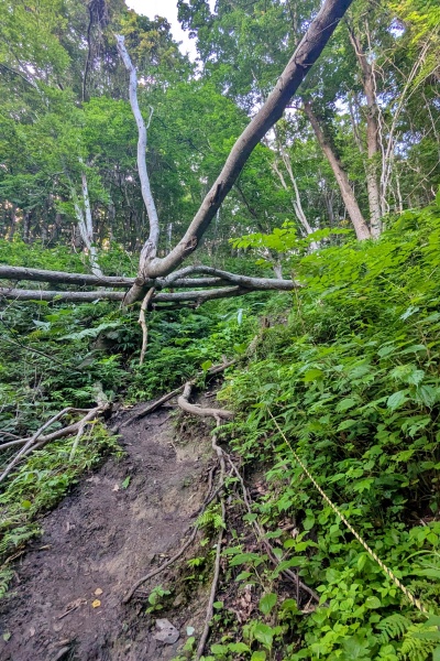 頭上にも気を付ける