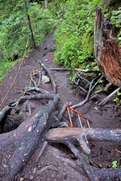 小さな鉄梯子もある