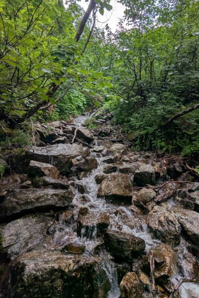 滑らないよう登っていく