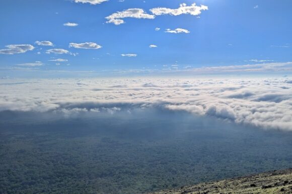 雲海！天国みたいだ