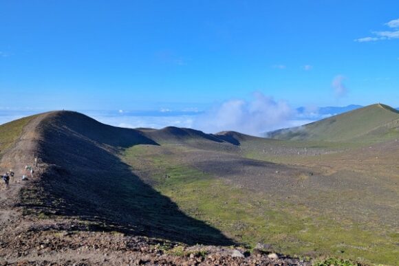 たおやかな曲線が見える