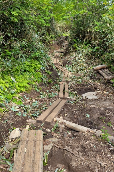 登りでは気づかなかったけど、登山道は歩きやすい木道が整備されていた。ありがたい。