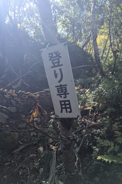 朝専用コーヒーみたいだね