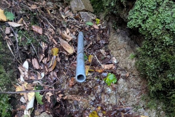 枯れていた水場