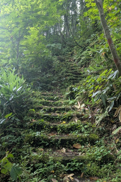 七入からはk標高差700ｍあるのだ…