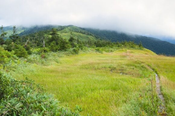 湿原は風で気持ちよさそうだった