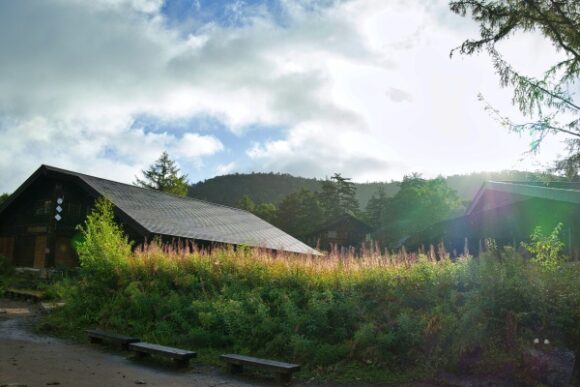 日差しは出ているけど期待はしない