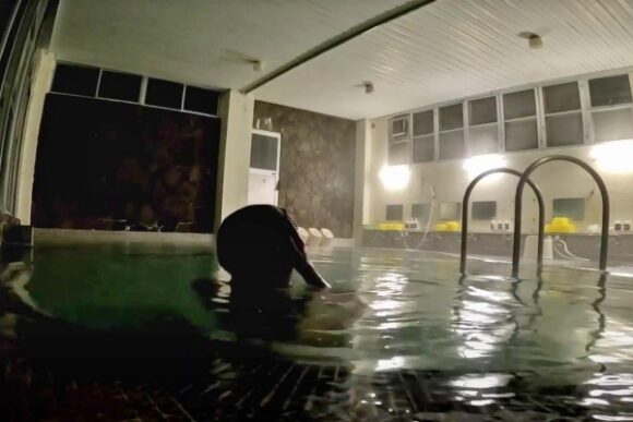 ほぼ貸し切りで寛げた