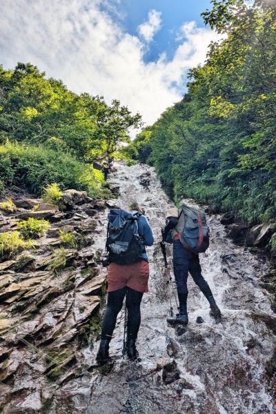 ひゃ～！物好きな人たちだね。