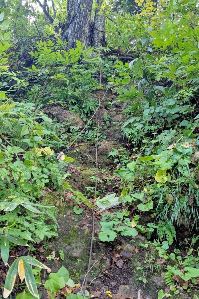 慎重によじ登る