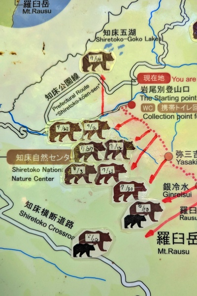 登山口からすでに目撃が多い。同じ個体なのかもしれないが…