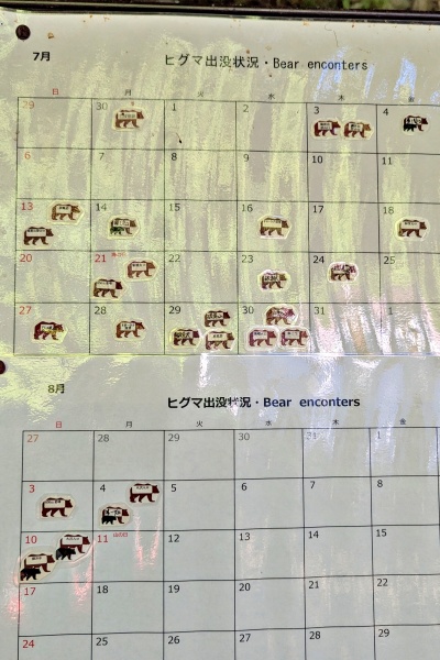 ヒグマの目撃情報も多い