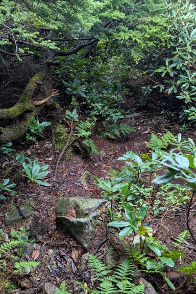 悪路が多いグシガハナの下山