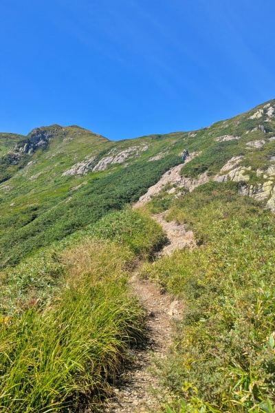 登りがいのある良い登山道です
