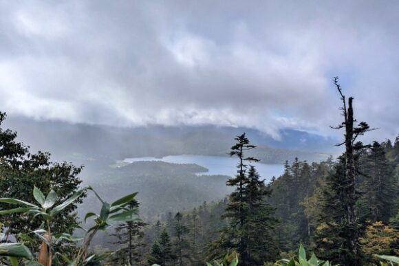 尾瀬ヶ原がガスの向こうに見えた