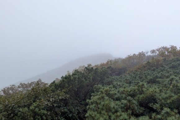 標高を上げると真っ白。風が強くなる